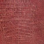 red crocodile skin wallpaper