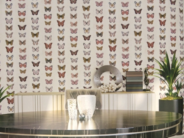 butterfly feature wallpaper